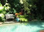 Swimming Pool Landscaping Newforms Landscape Architecture Pty Ltd.