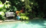Newforms Landscape Architecture Pty Ltd. Swimming Pool Landscaping